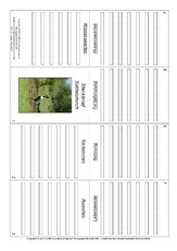 Faltbuch-Sattelstorch.pdf